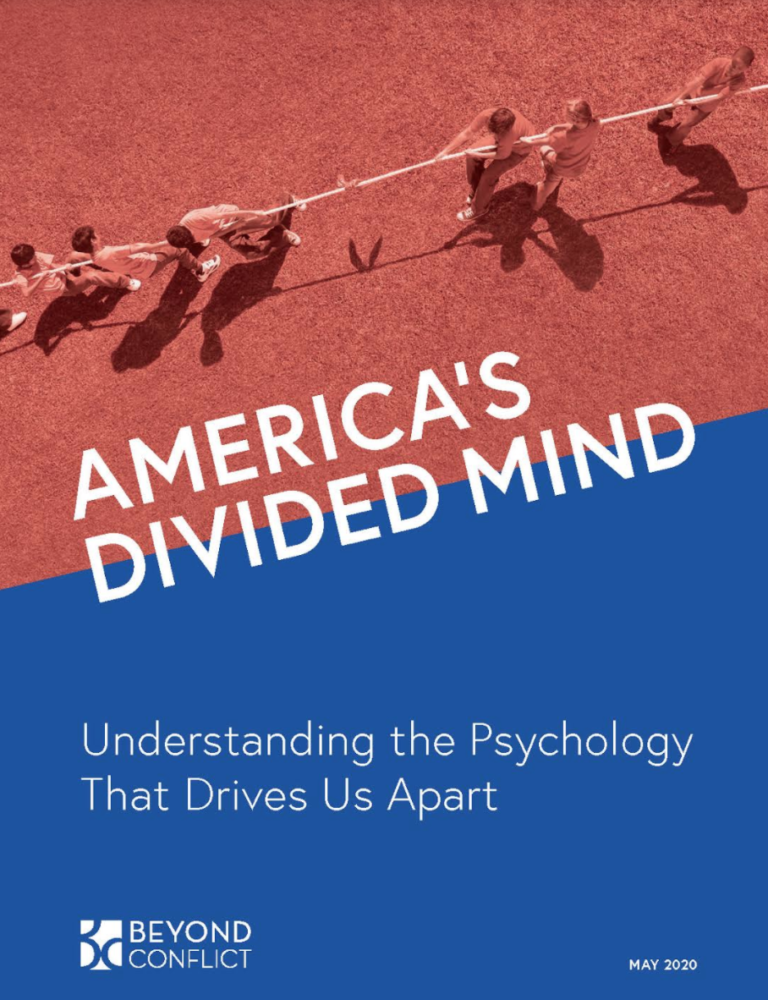 America's Divided Mind: Understanding The Psychology That Drives Us ...